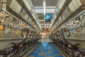 Gemini Up malkerobot